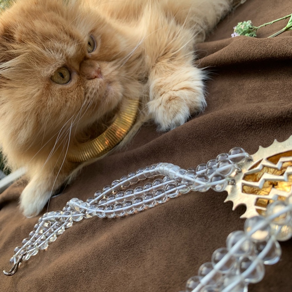 Meet your Posher, Victoria